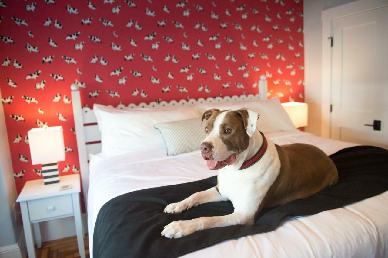 Paws On Pelham (Adults Only) Bed & Breakfast Newport Eksteriør bilde