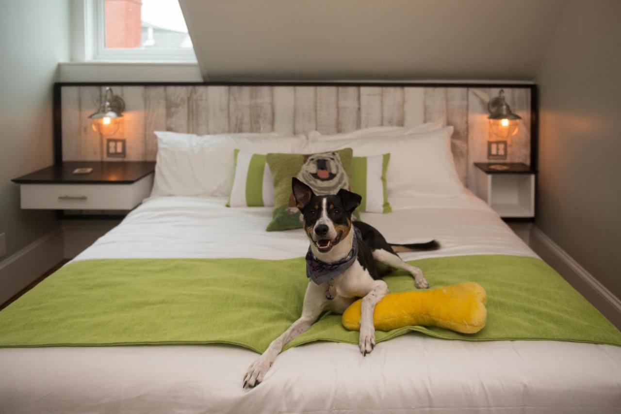 Paws On Pelham (Adults Only) Bed & Breakfast Newport Eksteriør bilde